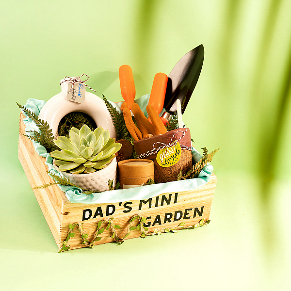 Gift Hampers for Plant Lover