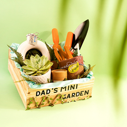 Gift Hampers for Plant Lover